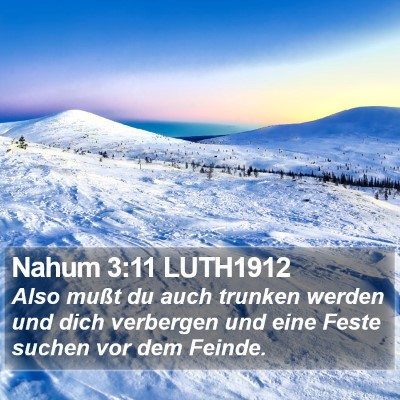 Nahum 3:11 LUTH1912 Bible Verse Image