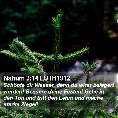 Nahum 3:14 LUTH1912 Bible Verse Image