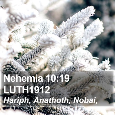 Nehemia 10:19 LUTH1912 Bible Verse Image