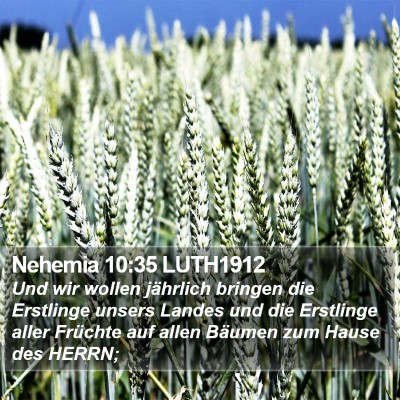 Nehemia 10:35 LUTH1912 Bible Verse Image