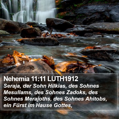 Nehemia 11:11 LUTH1912 Bible Verse Image
