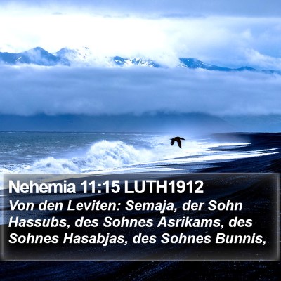 Nehemia 11:15 LUTH1912 Bible Verse Image