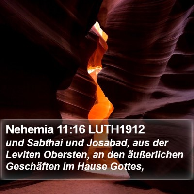 Nehemia 11:16 LUTH1912 Bible Verse Image