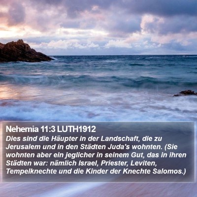 Nehemia 11:3 LUTH1912 Bible Verse Image