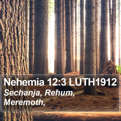 Nehemia 12:3 LUTH1912 Bible Verse Image