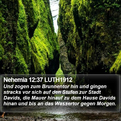 Nehemia 12:37 LUTH1912 Bible Verse Image