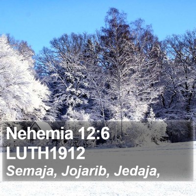 Nehemia 12:6 LUTH1912 Bible Verse Image