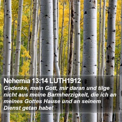 Nehemia 13:14 LUTH1912 Bible Verse Image