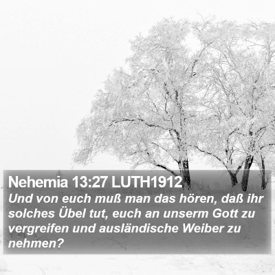 Nehemia 13:27 LUTH1912 Bible Verse Image