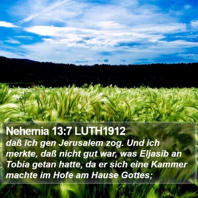 Nehemia 13:7 LUTH1912 Bible Verse Image