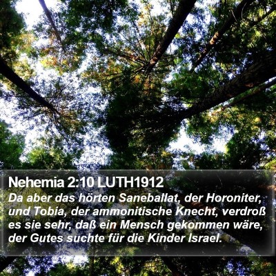 Nehemia 2:10 LUTH1912 Bible Verse Image