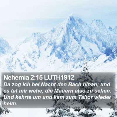 Nehemia 2:15 LUTH1912 Bible Verse Image