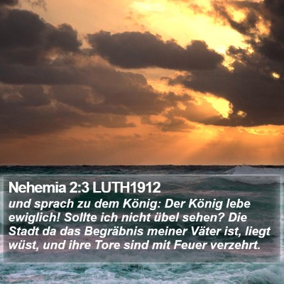 Nehemia 2:3 LUTH1912 Bible Verse Image