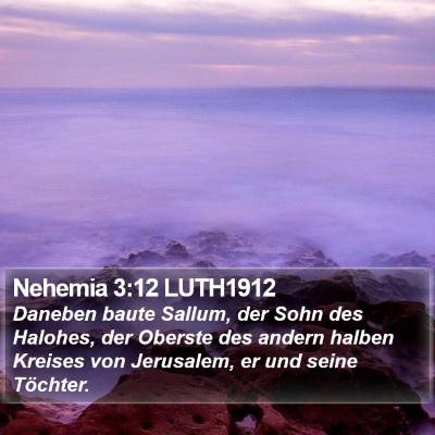 Nehemia 3:12 LUTH1912 Bible Verse Image