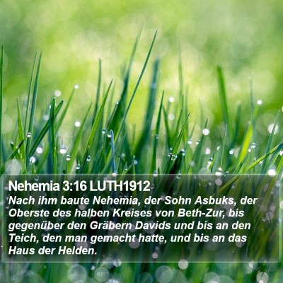 Nehemia 3:16 LUTH1912 Bible Verse Image