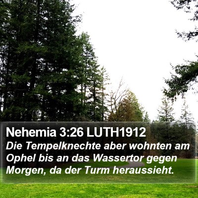 Nehemia 3:26 LUTH1912 Bible Verse Image