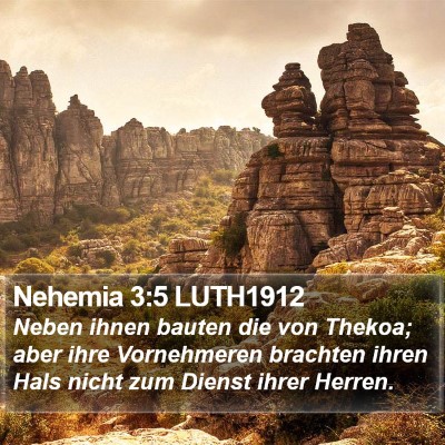 Nehemia 3:5 LUTH1912 Bible Verse Image