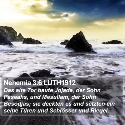 Nehemia 3:6 LUTH1912 Bible Verse Image