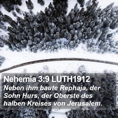Nehemia 3:9 LUTH1912 Bible Verse Image