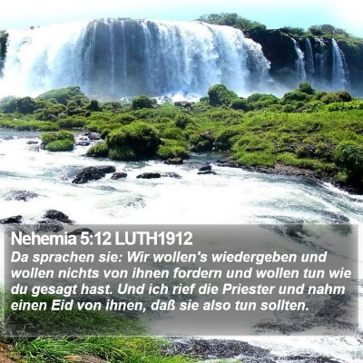 Nehemia 5:12 LUTH1912 Bible Verse Image