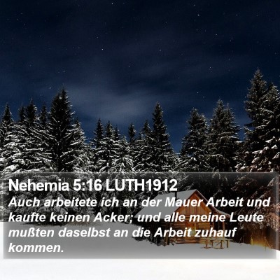 Nehemia 5:16 LUTH1912 Bible Verse Image