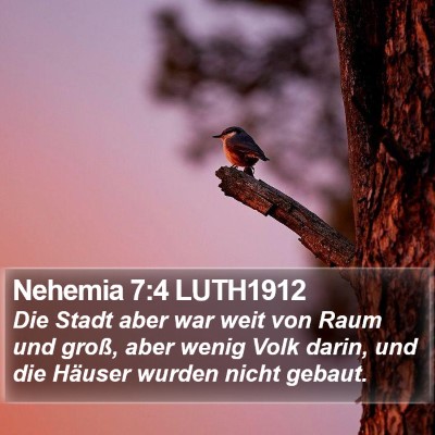 Nehemia 7:4 LUTH1912 Bible Verse Image