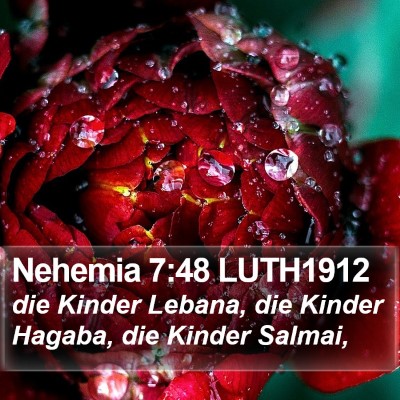 Nehemia 7:48 LUTH1912 Bible Verse Image