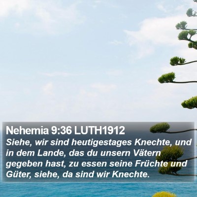Nehemia 9:36 LUTH1912 Bible Verse Image