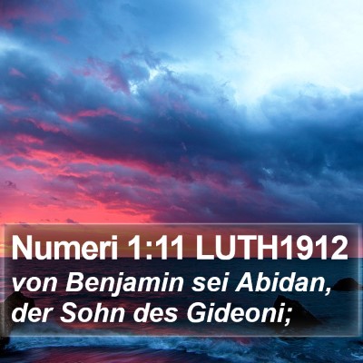 Numeri 1:11 LUTH1912 Bible Verse Image