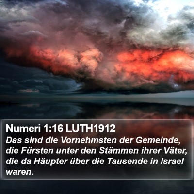 Numeri 1:16 LUTH1912 Bible Verse Image