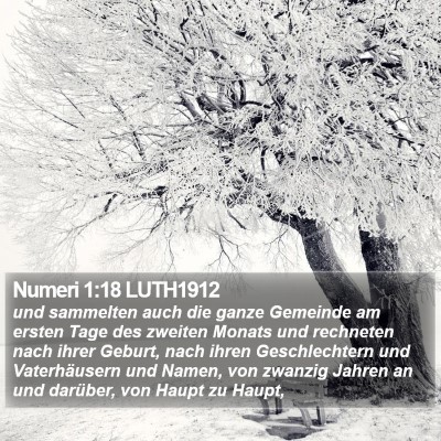 Numeri 1:18 LUTH1912 Bible Verse Image