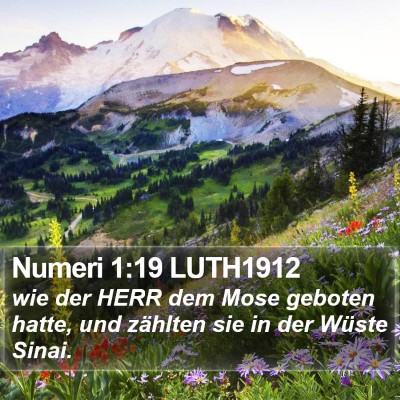 Numeri 1:19 LUTH1912 Bible Verse Image