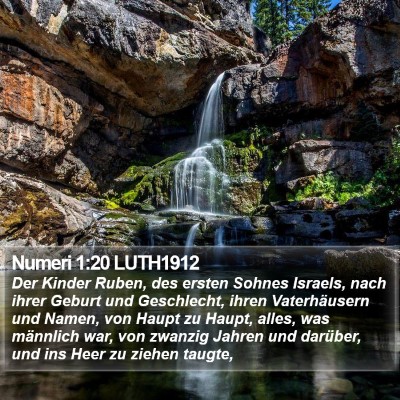 Numeri 1:20 LUTH1912 Bible Verse Image