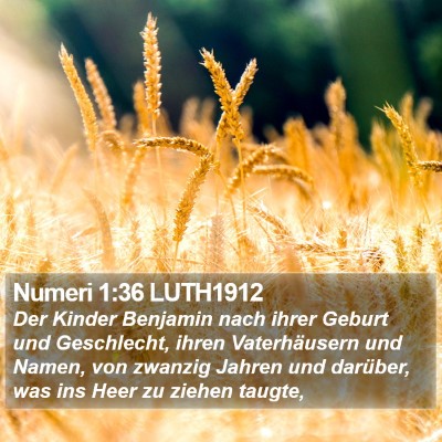 Numeri 1:36 LUTH1912 Bible Verse Image