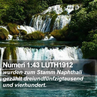 Numeri 1:43 LUTH1912 Bible Verse Image
