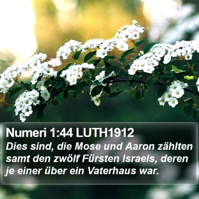 Numeri 1:44 LUTH1912 Bible Verse Image