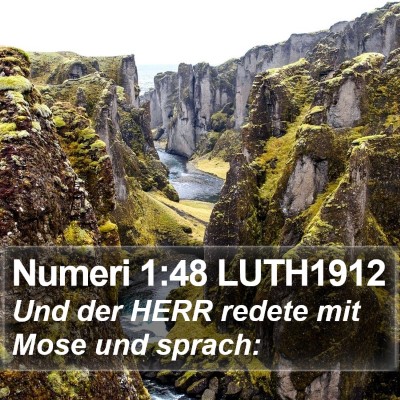 Numeri 1:48 LUTH1912 Bible Verse Image