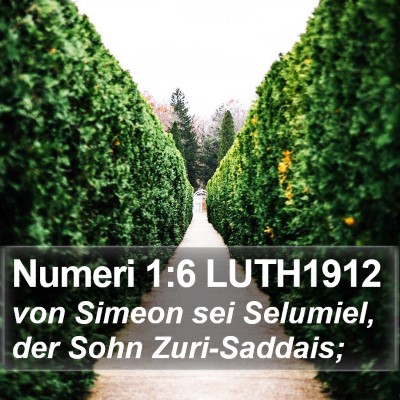 Numeri 1:6 LUTH1912 Bible Verse Image