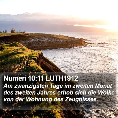 Numeri 10:11 LUTH1912 Bible Verse Image
