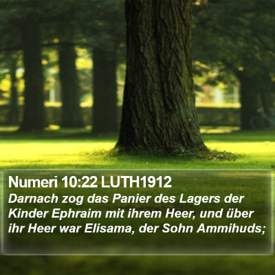 Numeri 10:22 LUTH1912 Bible Verse Image
