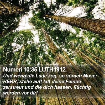 Numeri 10:35 LUTH1912 Bible Verse Image