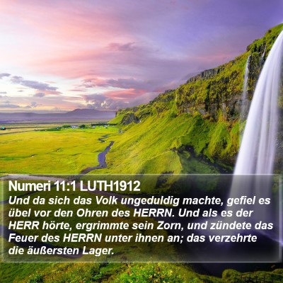 Numeri 11:1 LUTH1912 Bible Verse Image