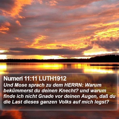 Numeri 11:11 LUTH1912 Bible Verse Image