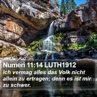 Numeri 11:14 LUTH1912 Bible Verse Image