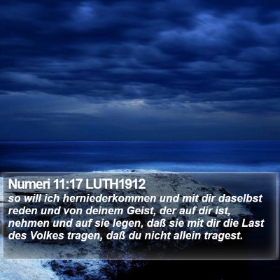 Numeri 11:17 LUTH1912 Bible Verse Image