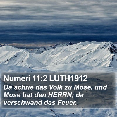 Numeri 11:2 LUTH1912 Bible Verse Image
