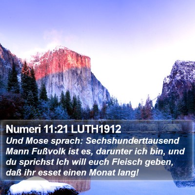 Numeri 11:21 LUTH1912 Bible Verse Image