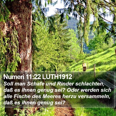 Numeri 11:22 LUTH1912 Bible Verse Image