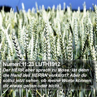 Numeri 11:23 LUTH1912 Bible Verse Image