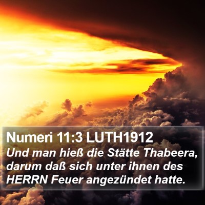 Numeri 11:3 LUTH1912 Bible Verse Image